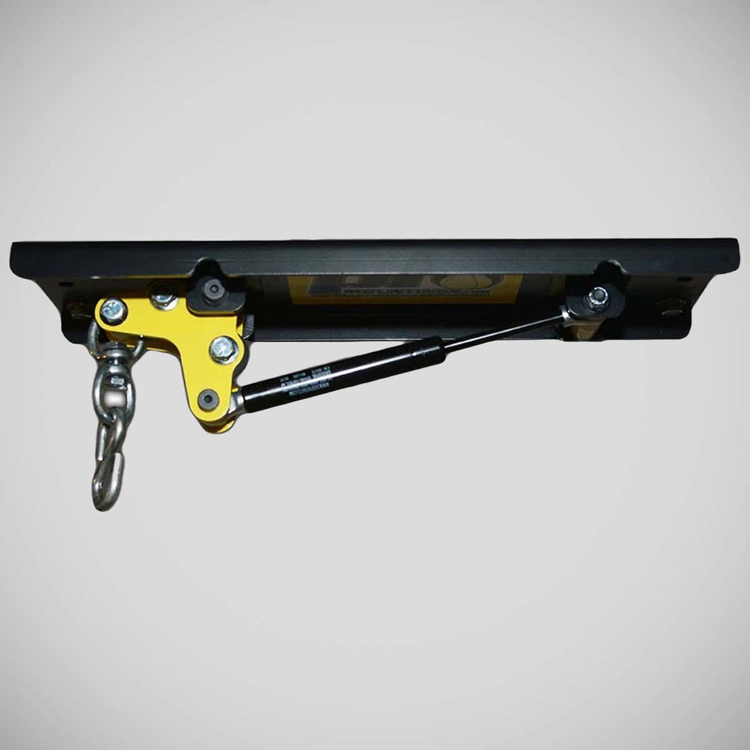 Black/Yellow Pro Mountings CM-2000GS Ceiling Mount